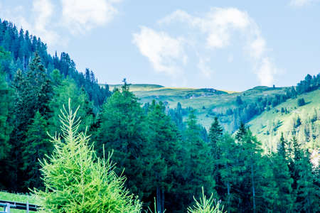 Beautiful scene with green elements on a bright day in Europeの写真素材