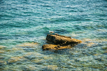 relaxing view with water and natural elements in a sunny day Europe