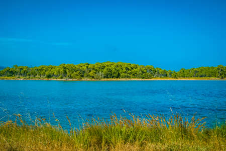 relaxing view with water and natural elements in a sunny day Europeの写真素材