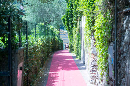 Beautiful scene with green elements on a bright day in Europeの写真素材