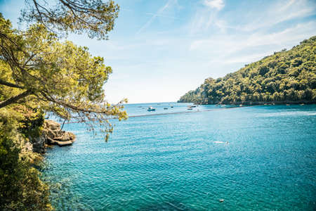 relaxing view with water and natural elements in a sunny day Europeの写真素材