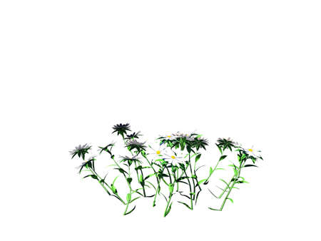 3d rendering of flower bush isolated on white can be used for foreground designの写真素材