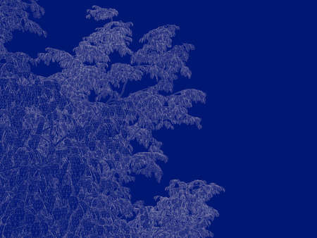 3d rendering of an outlined tree blueprint isolated on blue backgroundの写真素材