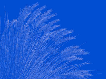 3d rendering of an outlined black tree with green edges isolated on white backgroundの写真素材