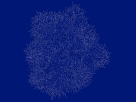 3d rendering of an outlined tree blueprint isolated on blue backgroundの写真素材