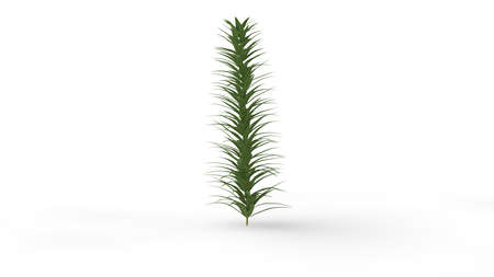 3d rendering of a plant isolated on white backgroundの写真素材