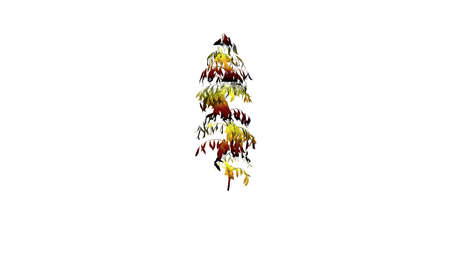 3d rendering of a colorul plant on a white backgroundの写真素材
