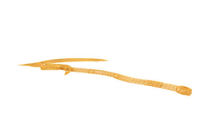 3d rendering of a wired object in yellow on isolated on white backgroundの写真素材
