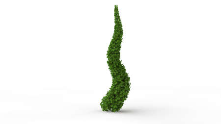 3d rendering of a green plant isolated on a white backgroundの写真素材