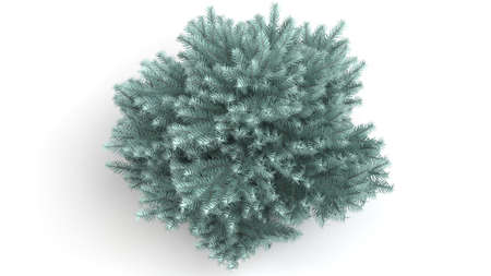 3d rendering of a green plant isolated on a white backgroundの写真素材