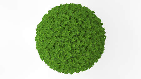 3d rendering of a green plant isolated on a white backgroundの写真素材