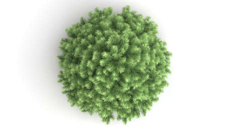 3d rendering of a green plant isolated on a white backgroundの写真素材