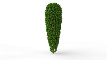 3d rendering of a green plant isolated on a white backgroundの写真素材