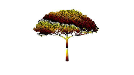 3d rendering of a colorul plant on a white backgroundの写真素材