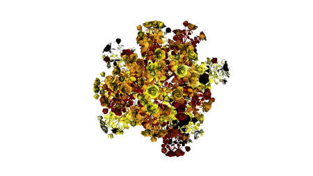 3d rendering of a colorul plant on a white backgroundの写真素材