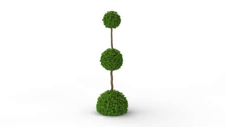 3d rendering of a green plant isolated on a white backgroundの写真素材