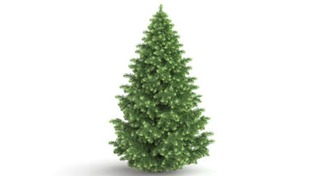 3d rendering of a green plant isolated on a white backgroundの写真素材