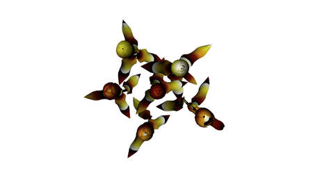 3d rendering of a colorul plant on a white backgroundの写真素材