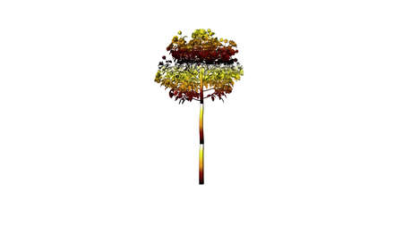 3d rendering of a colorul plant on a white backgroundの写真素材