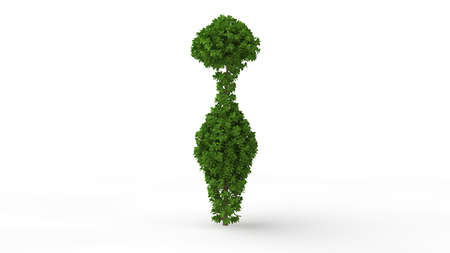 3d rendering of a green plant isolated on a white backgroundの写真素材