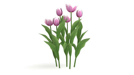 3d rendering of a green plant isolated on a white backgroundの写真素材