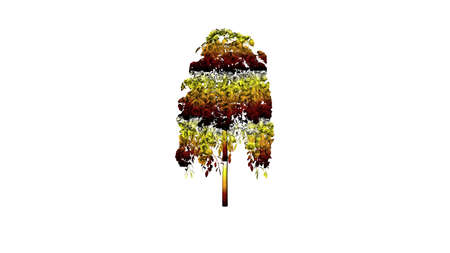 3d rendering of a colorul plant on a white backgroundの写真素材