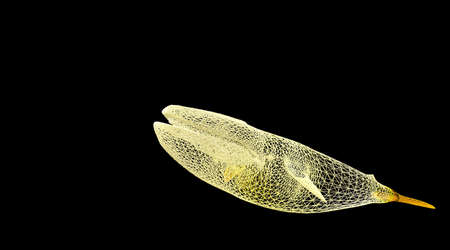 3d rendering of an animal wireframe isolated on a black backgroundの写真素材