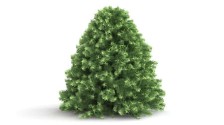 3d rendering of a green plant isolated on a white backgroundの写真素材