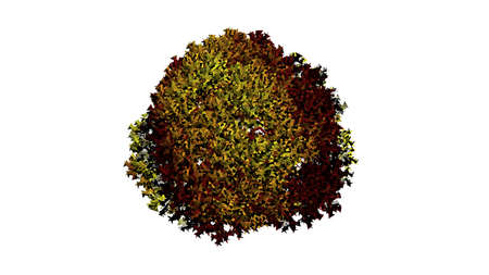 3d rendering of a colorul plant on a white backgroundの写真素材