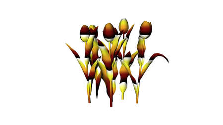 3d rendering of a colorul plant on a white backgroundの写真素材