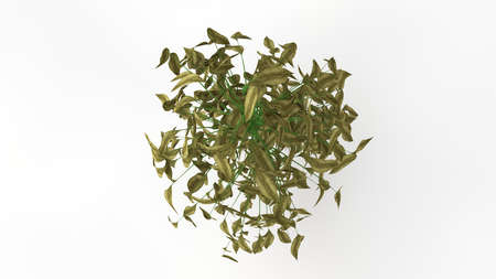 3d rendering of a plant isolated on white backgroundの写真素材