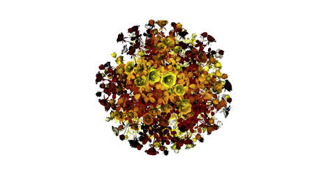 3d rendering of a colorul plant on a white backgroundの写真素材