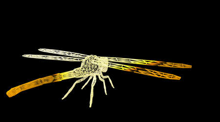 3d rendering of an animal wireframe isolated on a black backgroundの写真素材