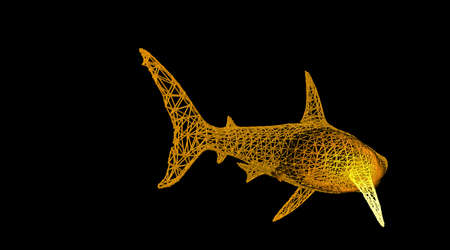 3d rendering of an animal wireframe isolated on a black backgroundの写真素材