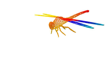 3d rendering of an outlined colorful rainbow animal on whiteの写真素材