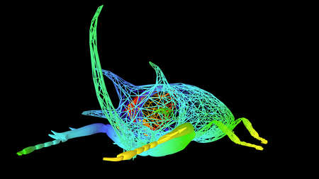 3d rendering of an artistic  object made with colorful rope lines isolated on blackの写真素材