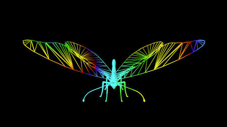 3d rendering of an artistic  object made with colorful rope lines isolated on blackの写真素材