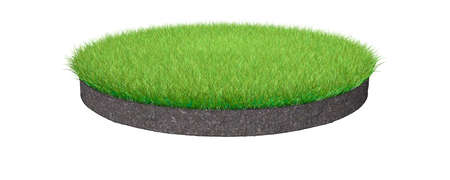 3d rendering of a grass patch isolated on a white backgroundの写真素材