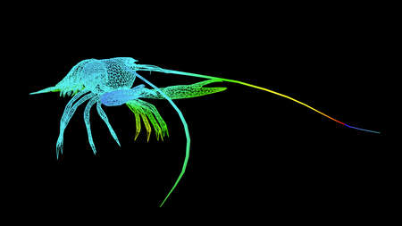 3d rendering of an artistic object made with colorful rope lines isolated on blackの写真素材