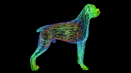3d rendering of an artistic  object made with colorful rope lines isolated on blackの写真素材