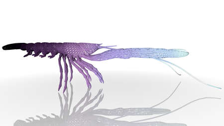 3d rendering of an artistic animal with reflection isolated on white backgroundの写真素材
