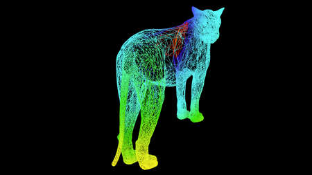 3d rendering of an artistic object made with colorful rope lines isolated on blackの写真素材