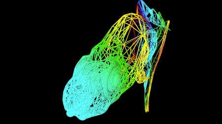 3d rendering of an artistic object made with colorful rope lines isolated on blackの写真素材