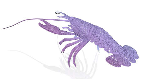 3d rendering of an artistic animal with reflection isolated on white backgroundの写真素材