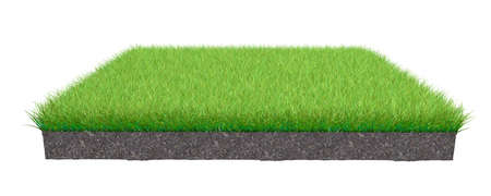 3d rendering of a grass patch isolated on a white backgroundの写真素材