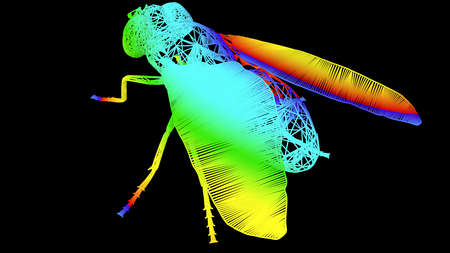 3d rendering of an artistic  object made with colorful rope lines isolated on black
