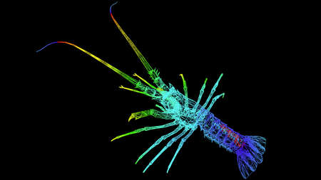 3d rendering of an artistic object made with colorful rope lines isolated on blackの写真素材