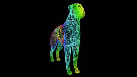 3d rendering of an artistic  object made with colorful rope lines isolated on blackの写真素材