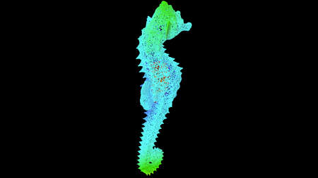3d rendering of an artistic object made with colorful rope lines isolated on blackの写真素材