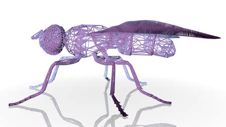 3d rendering of an artistic animal with reflection isolated on white backgroundの写真素材